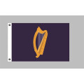 Flagge 90 x 150 : Irland Pr&auml;sidenten-Flagge Harfe