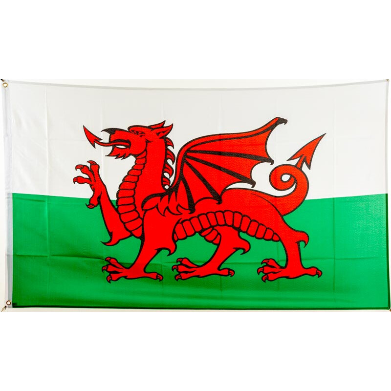 Flagge 90 x 150 : Wales (GB), 9,95 €