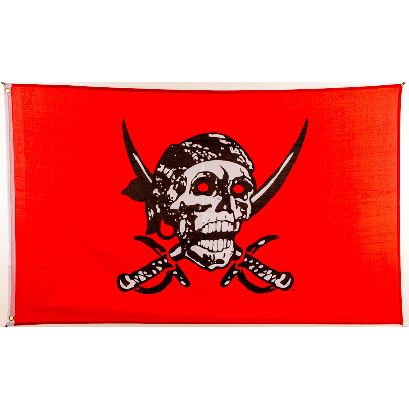 https://www.everflag.de/media/image/product/904/lg/flagge-90-x-150-piratenflagge-in-rot.jpg